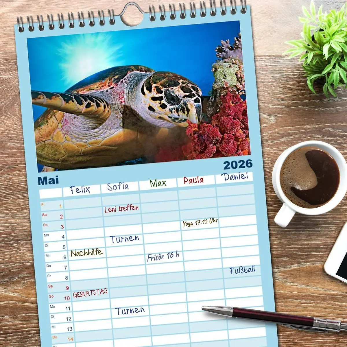 Bild: 9783516513615 | Familienplaner 2026 - Schildkröten des Ozeans mit 5 Spalten...