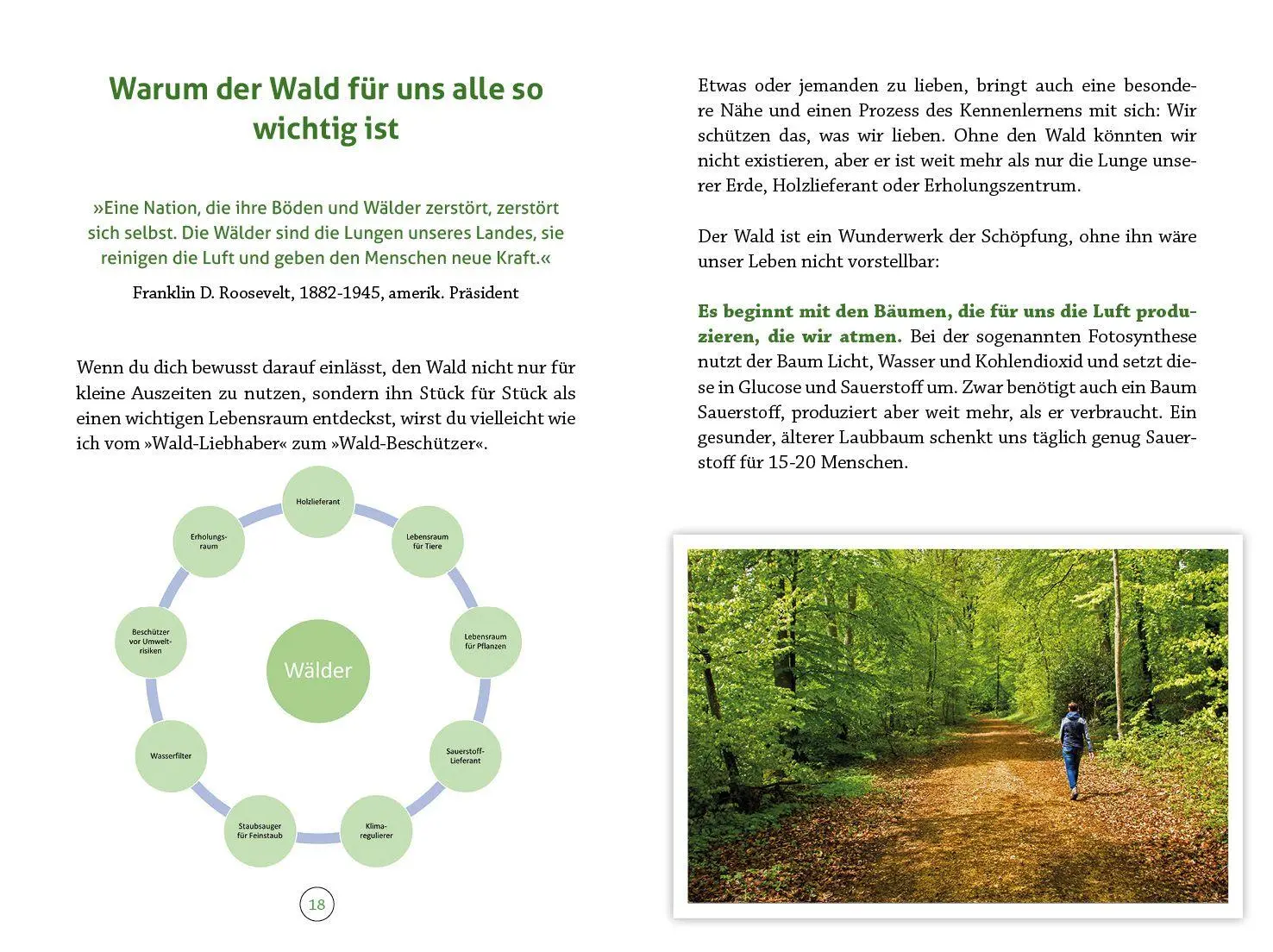 Bild: 9783963623615 | Wohlfühlort Wald | Besondere Auszeiten für Körper, Geist und Seele