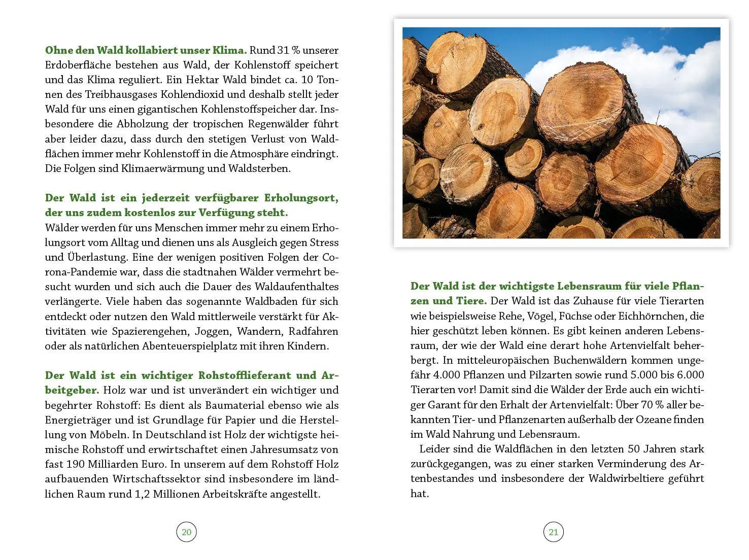 Bild: 9783963623615 | Wohlfühlort Wald | Besondere Auszeiten für Körper, Geist und Seele