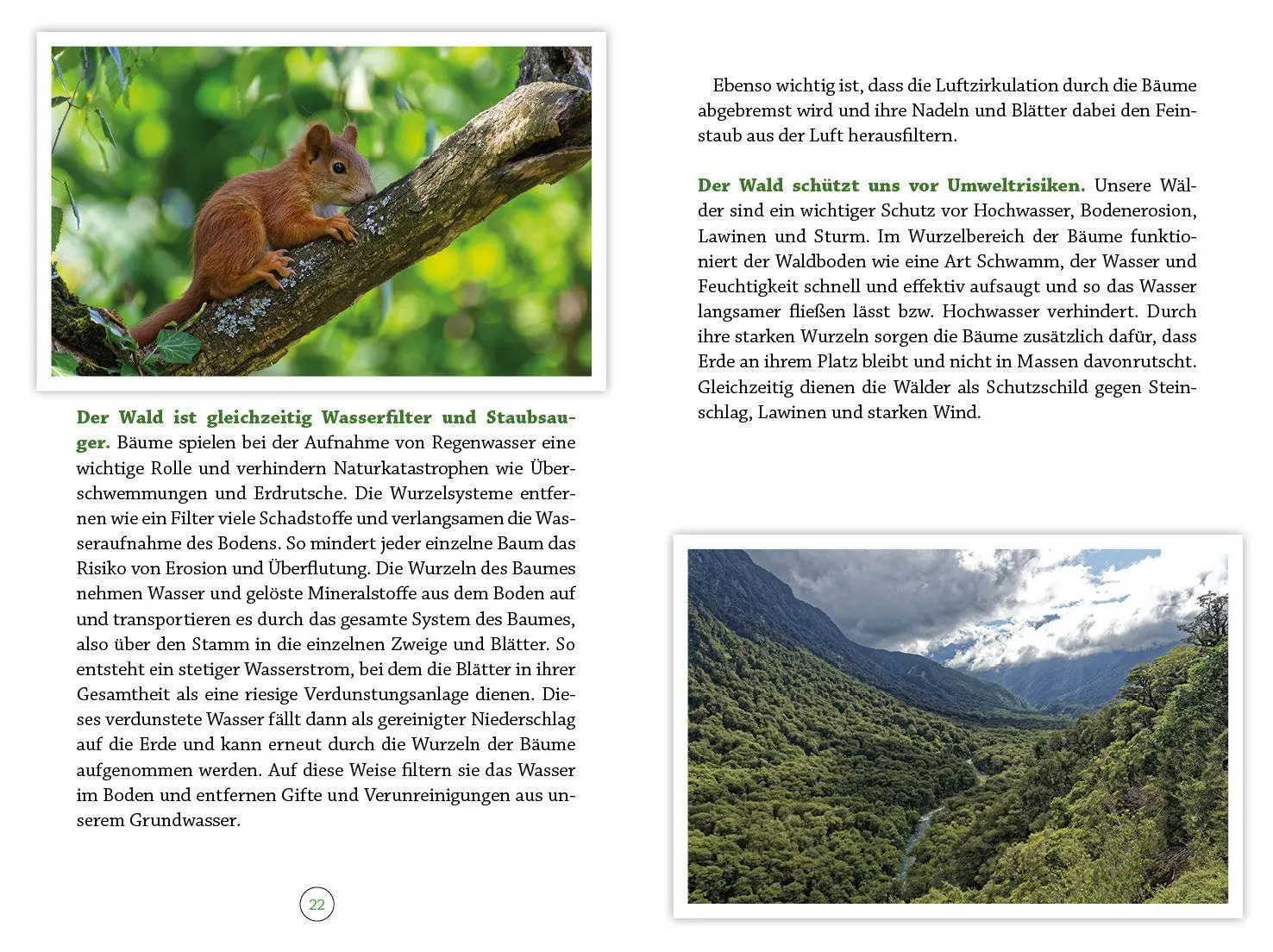 Bild: 9783963623615 | Wohlfühlort Wald | Besondere Auszeiten für Körper, Geist und Seele