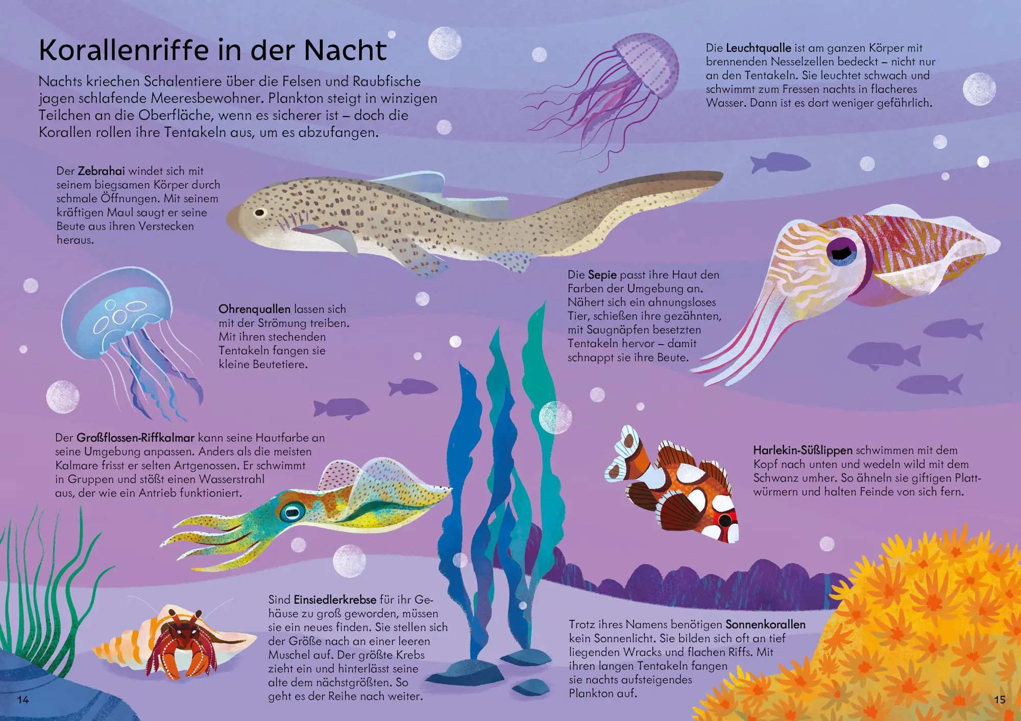 Bild: 9781035703715 | Puzzle &amp; Buch: Das Korallenriff | Taschenbuch | Puzzle-und-Buch-Reihe