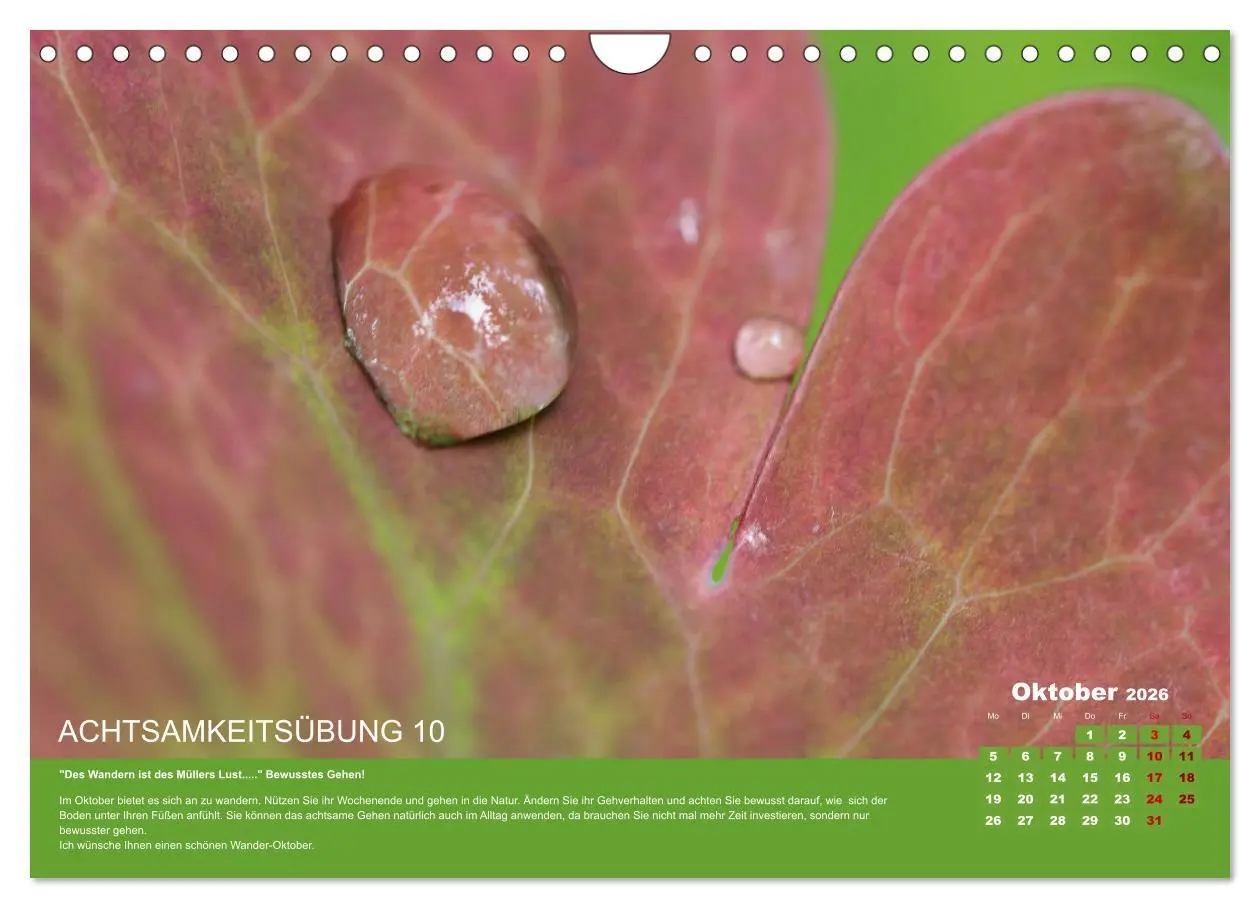 Bild: 9783457723715 | Achtsamkeit, 12 Übungen zu mehr Achtsamkeit. (Wandkalender 2026 DIN...
