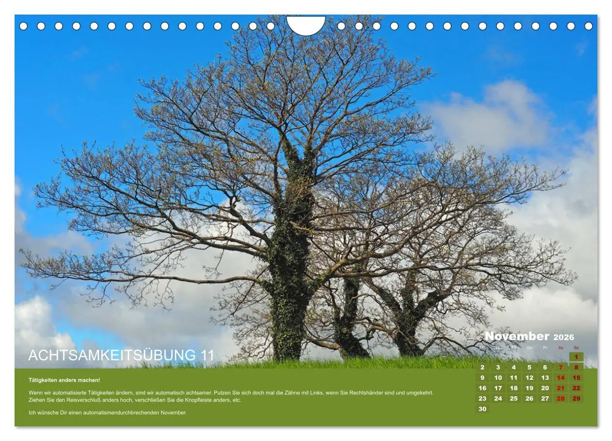 Bild: 9783457723715 | Achtsamkeit, 12 Übungen zu mehr Achtsamkeit. (Wandkalender 2026 DIN...