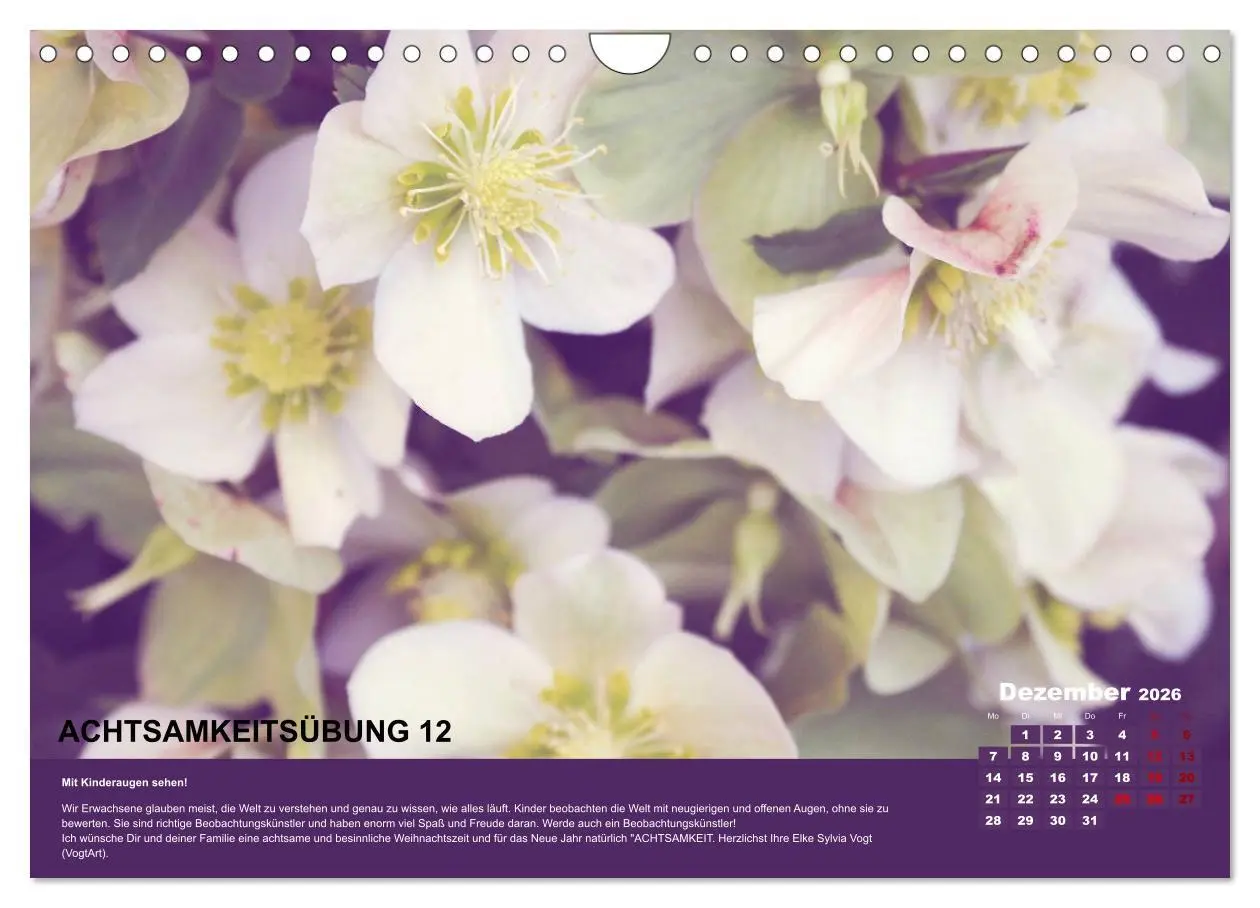 Bild: 9783457723715 | Achtsamkeit, 12 Übungen zu mehr Achtsamkeit. (Wandkalender 2026 DIN...