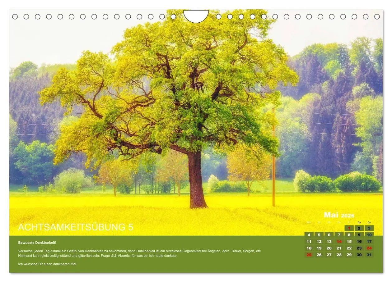 Bild: 9783457723715 | Achtsamkeit, 12 Übungen zu mehr Achtsamkeit. (Wandkalender 2026 DIN...