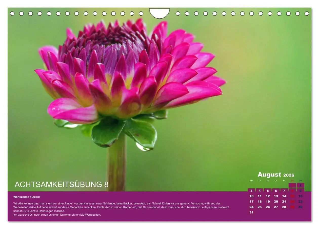 Bild: 9783457723715 | Achtsamkeit, 12 Übungen zu mehr Achtsamkeit. (Wandkalender 2026 DIN...