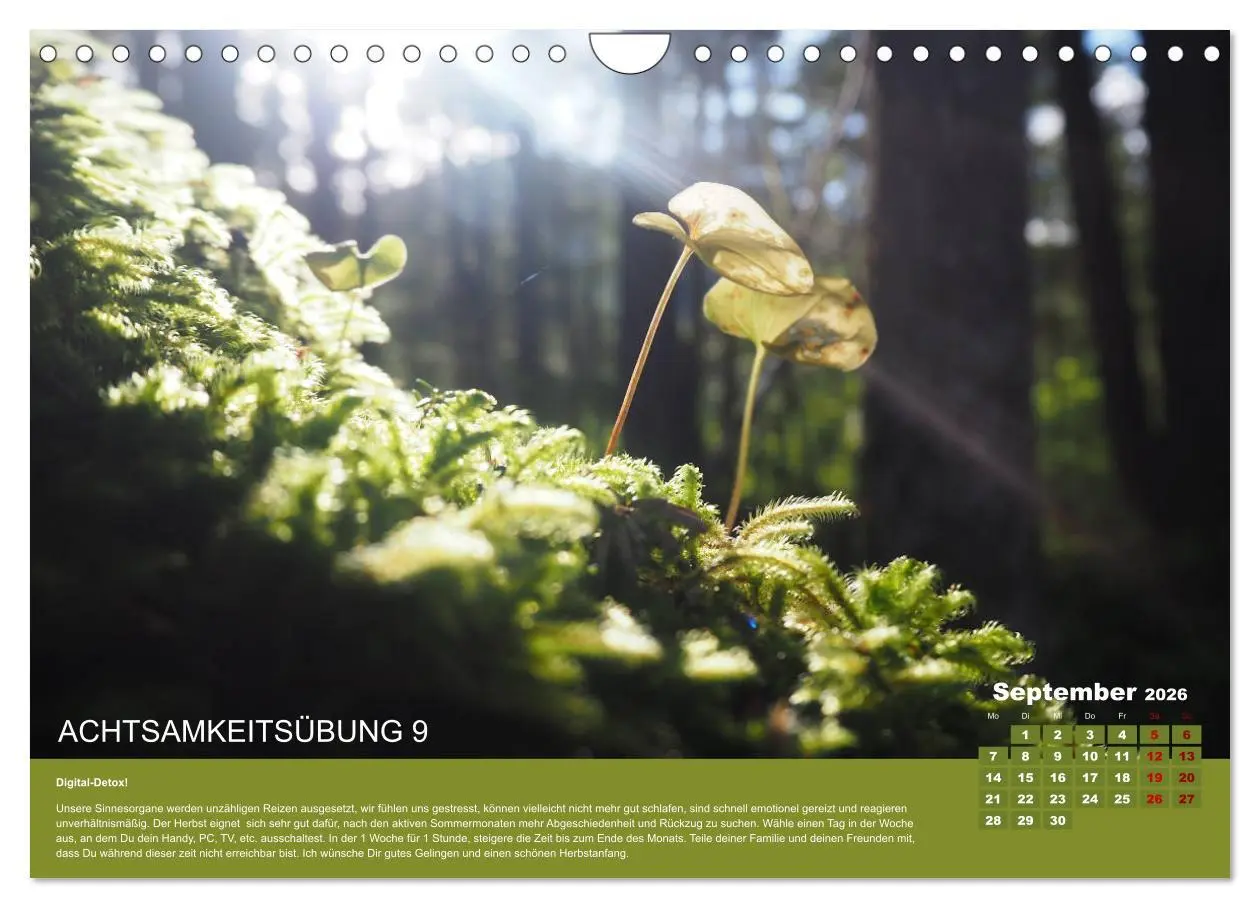 Bild: 9783457723715 | Achtsamkeit, 12 Übungen zu mehr Achtsamkeit. (Wandkalender 2026 DIN...