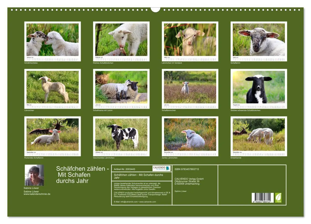 Bild: 9783457893715 | Schäfchen zählen - Mit Schafen durchs Jahr (Wandkalender 2026 DIN...
