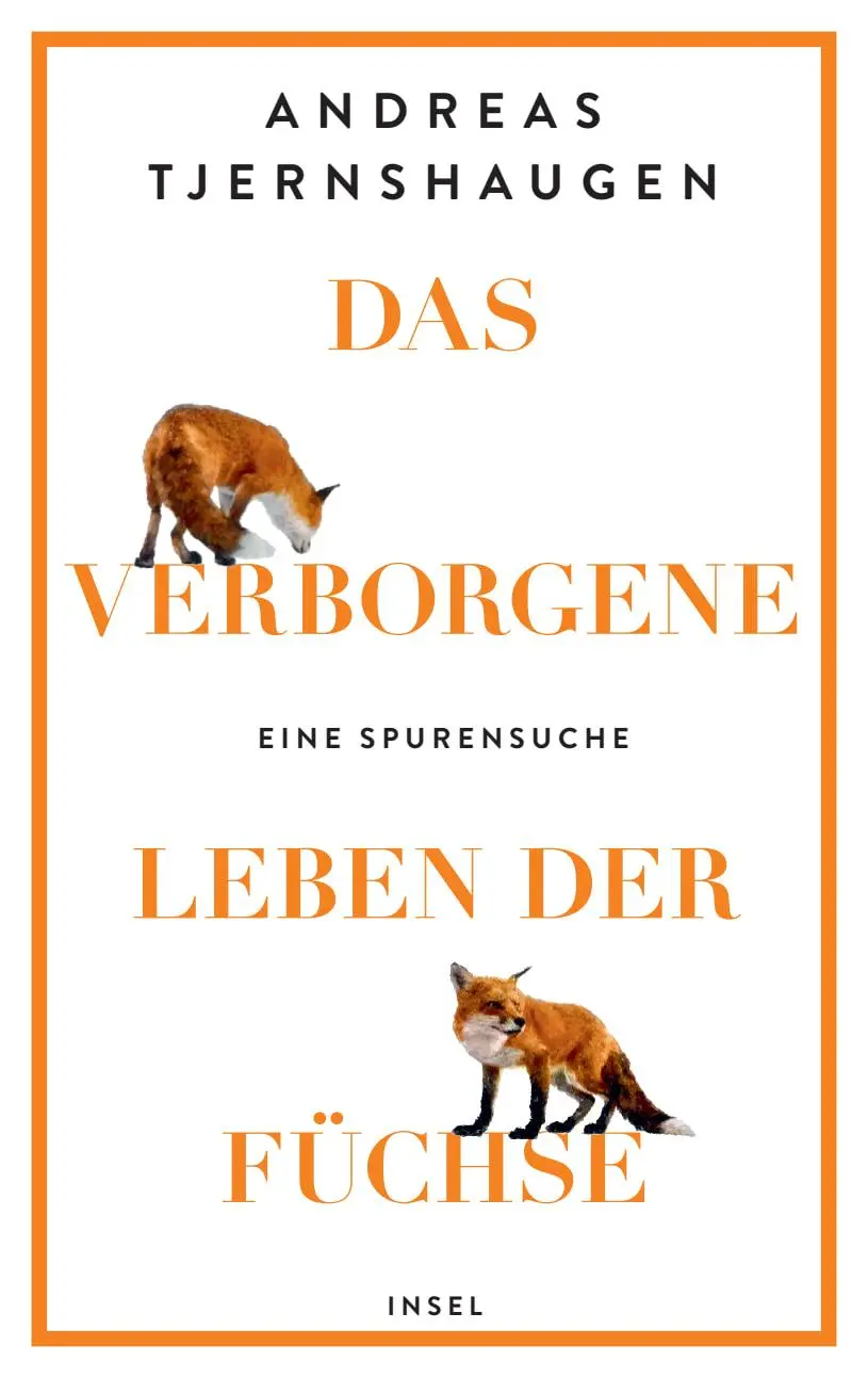 Cover: 9783458643715 | Das verborgene Leben der Füchse | Andreas Tjernshaugen | Buch | 214 S.