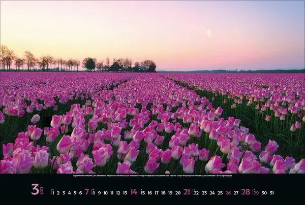 Bild: 9783819303715 | Colourful Seasons 2027 | Verlag Korsch | Kalender | 14 S. | Deutsch