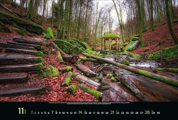 Bild: 9783819303715 | Colourful Seasons 2027 | Verlag Korsch | Kalender | 14 S. | Deutsch