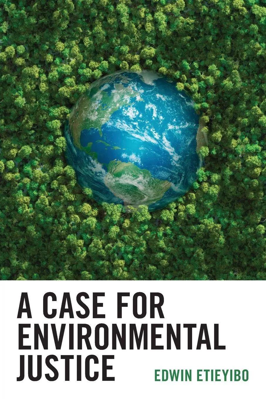 Cover: 9780761873815 | Case for Environmental Justice | Edwin Etieyibo | Taschenbuch | 2022