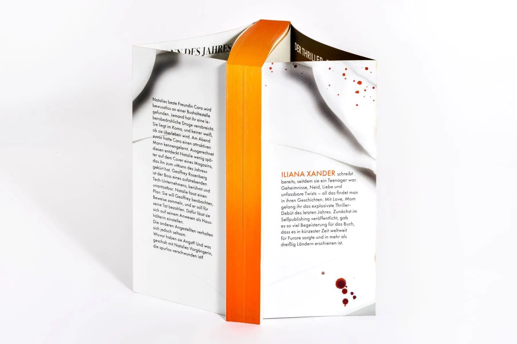 Bild: 9783453443815 | Der Boss - Ist er ein Monster oder ein Genie? | Iliana Xander | Buch