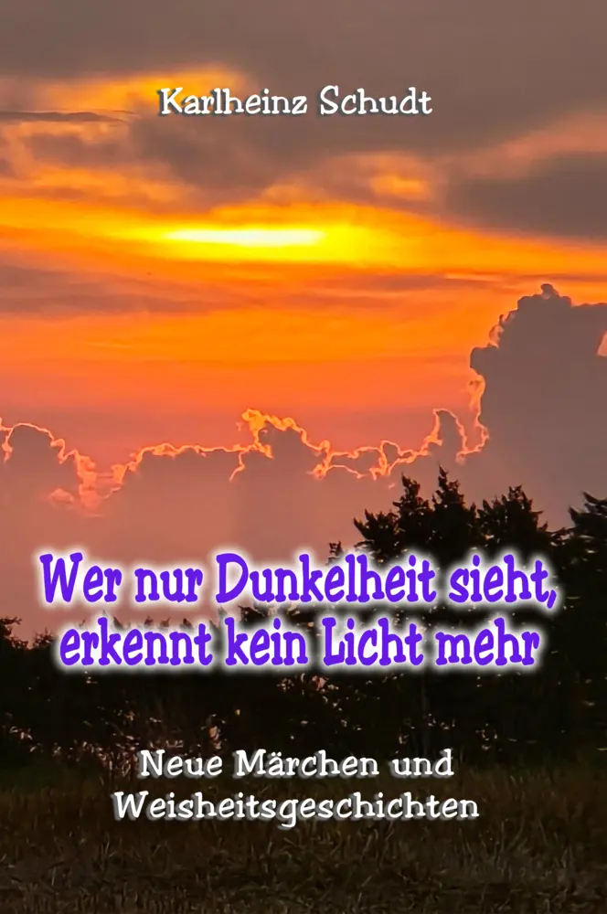 Cover: 9783691113815 | Wer nur Dunkelheit sieht, erkennt kein Licht mehr | Karlheinz Schudt