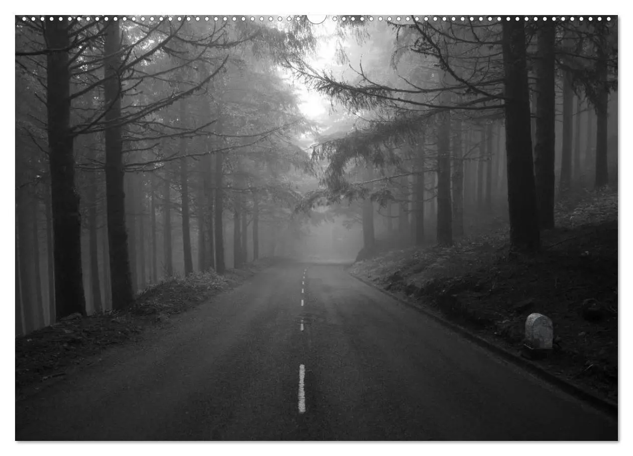 Bild: 9783435783915 | Stille Momente in Schwarz-Weiss (hochwertiger Premium Wandkalender...