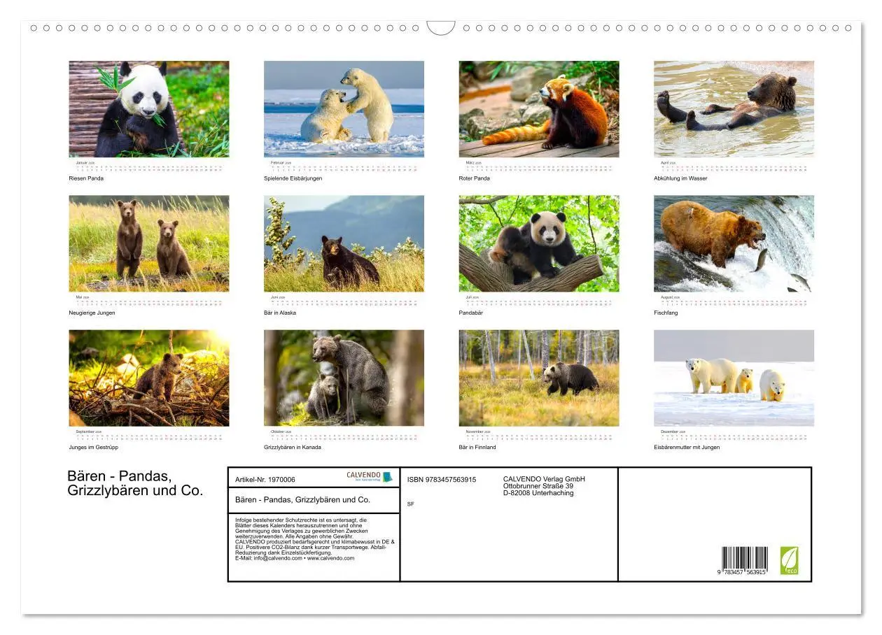 Bild: 9783457563915 | Bären - Pandas, Grizzlybären und Co. (Wandkalender 2026 DIN A2...