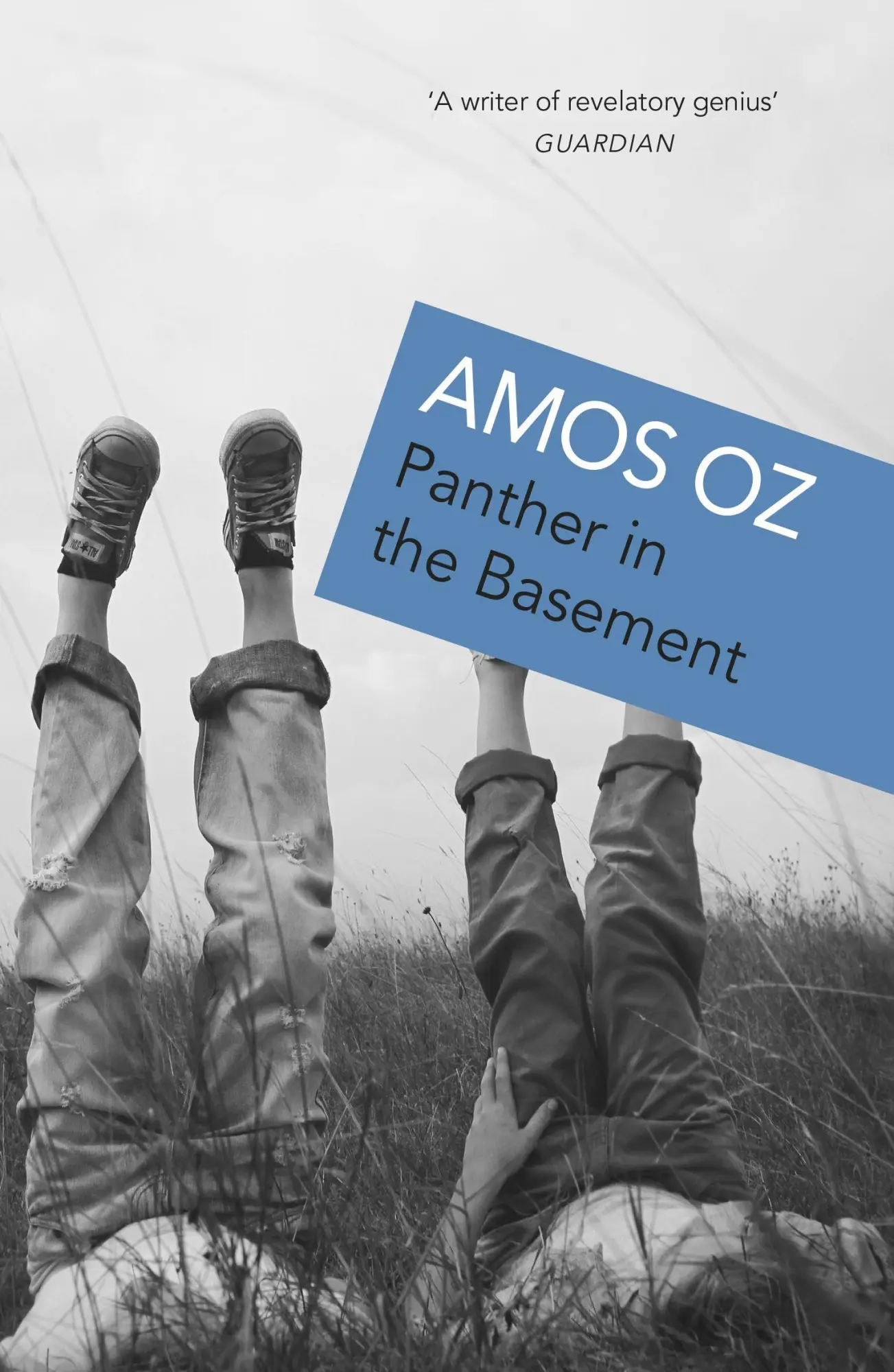 Cover: 9780099754015 | Panther In The Basement | Amos Oz | Taschenbuch | Englisch | 1997