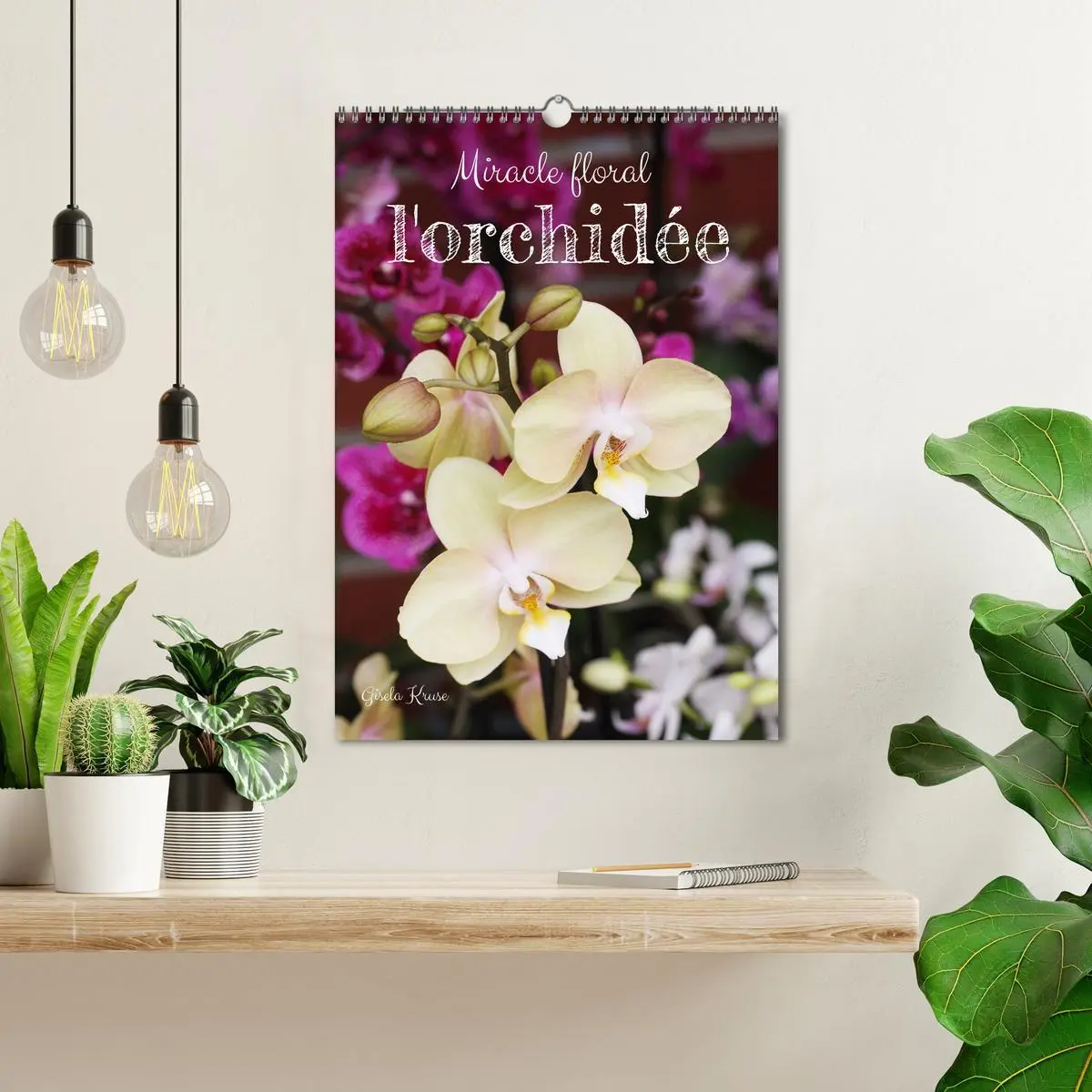 Bild: 9783516544015 | Miracle floral l'orchidée (Calendrier mural 2026 DIN A3...