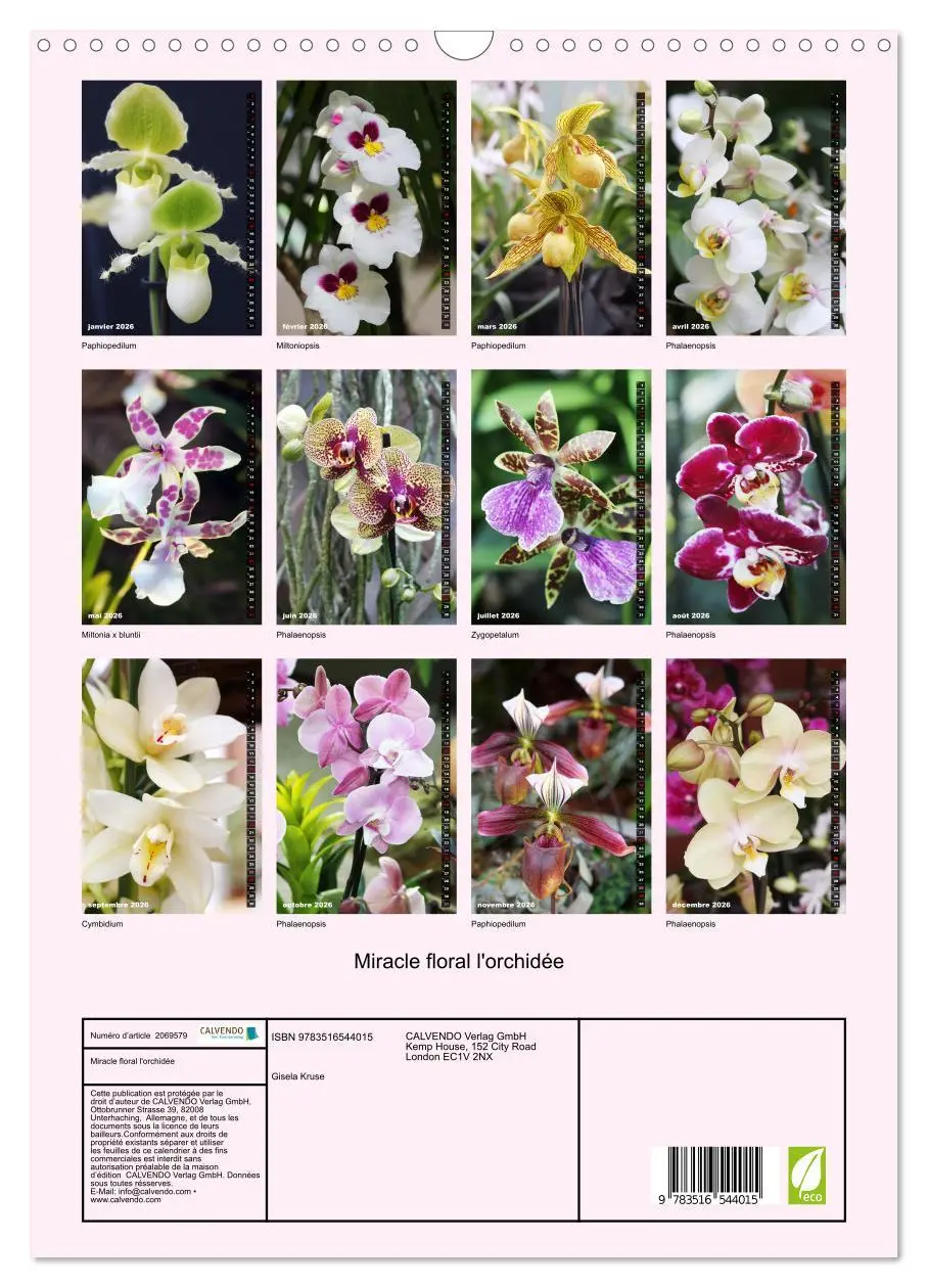 Bild: 9783516544015 | Miracle floral l'orchidée (Calendrier mural 2026 DIN A3...