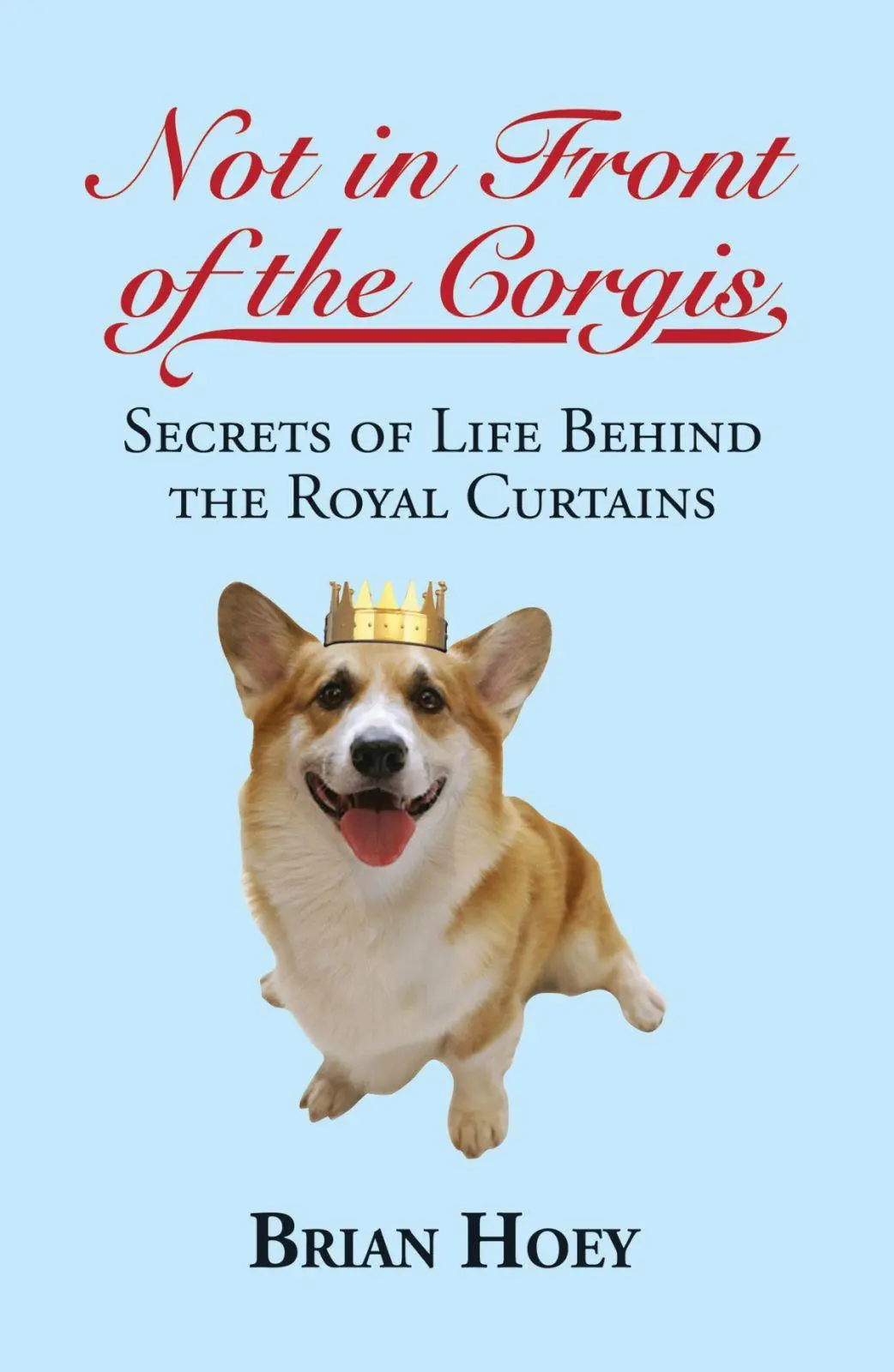 Cover: 9781849544115 | Not in Front of the Corgis | Secrets of Life Behind the Royal Curtains