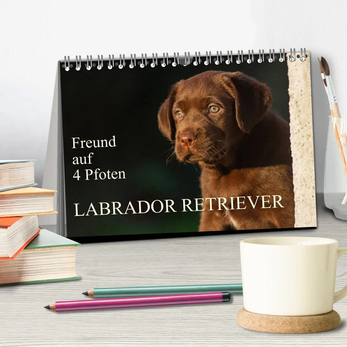 Bild: 9783457824115 | Freund auf 4 Pfoten - Labrador Retriever (Tischkalender 2026 DIN A5...