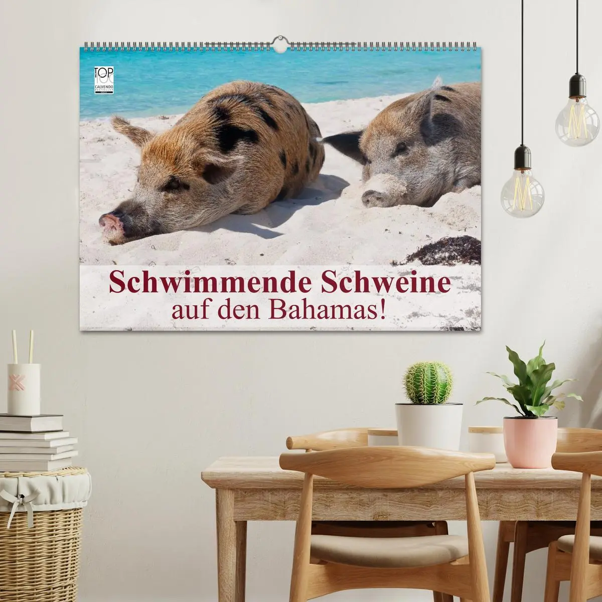 Bild: 9783516224115 | Schwimmende Schweine auf den Bahamas! (Wandkalender 2026 DIN A2...