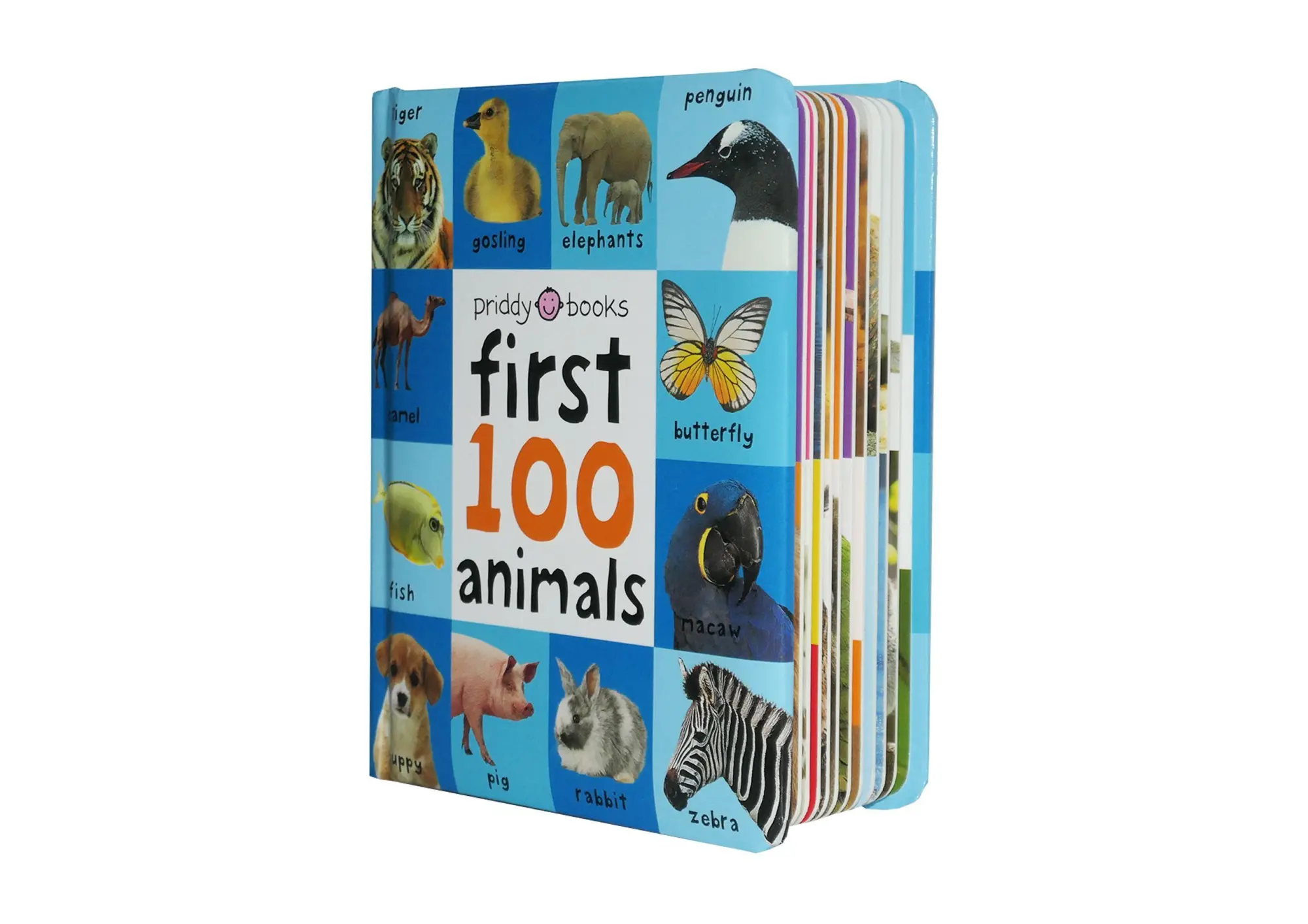 Bild: 9781849154215 | First 100 Animals | Priddy Books (u. a.) | Buch | Gebunden | Englisch