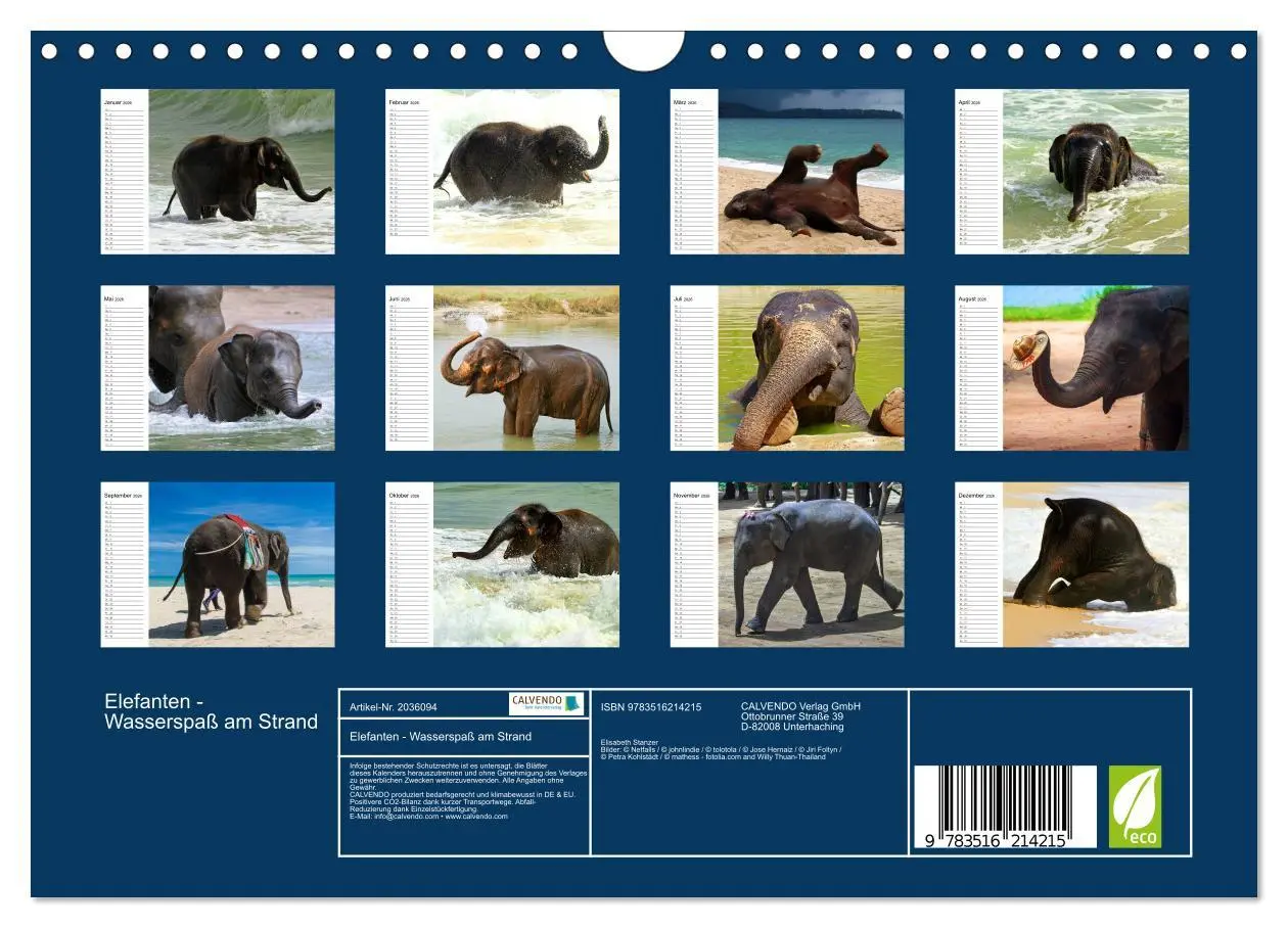 Bild: 9783516214215 | Elefanten - Wasserspaß am Strand (Wandkalender 2026 DIN A4 quer),...