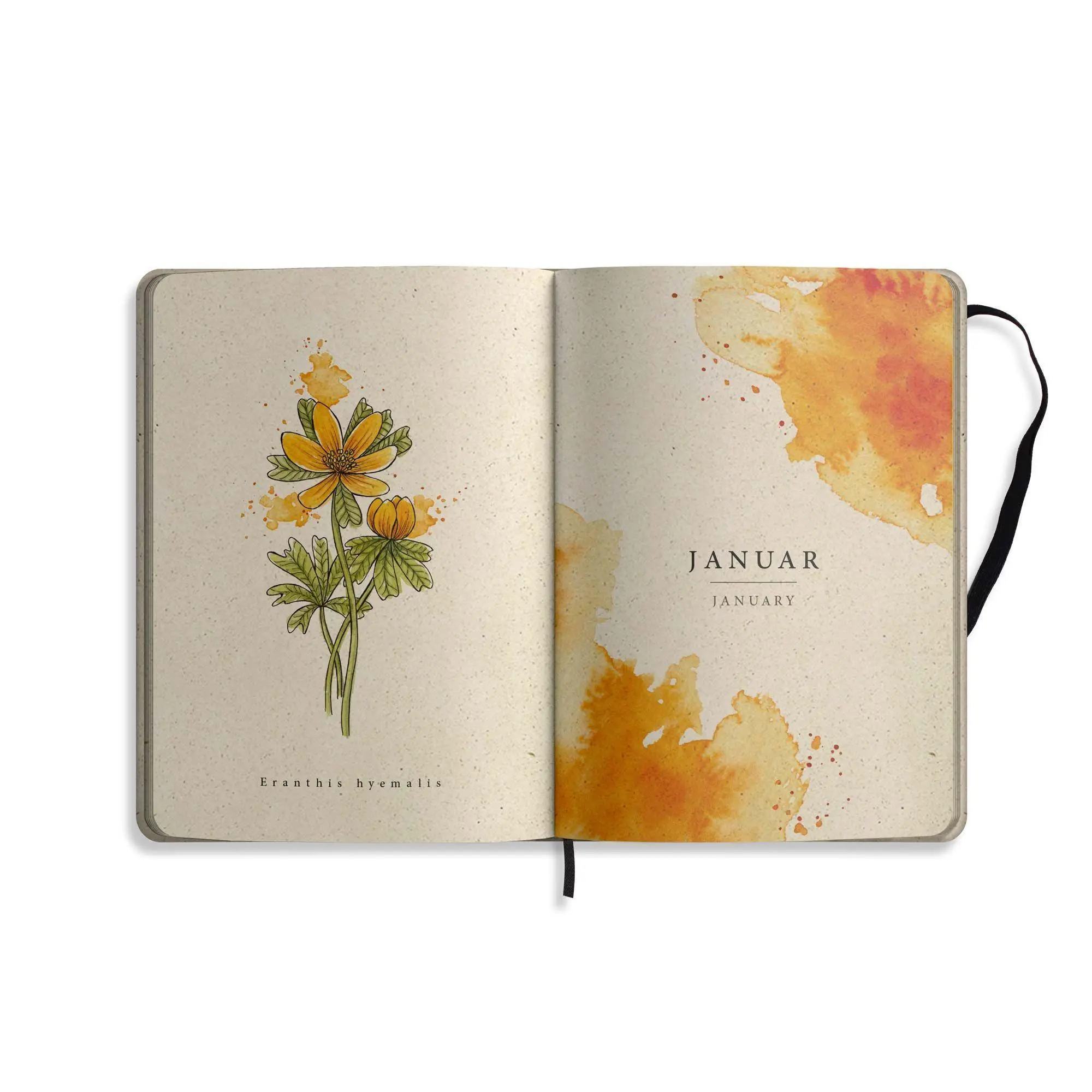 Bild: 4260626414315 | matabooks - A5 Kalender Samaya 2027 Farbe: Cornflower Blue (DE/EN)