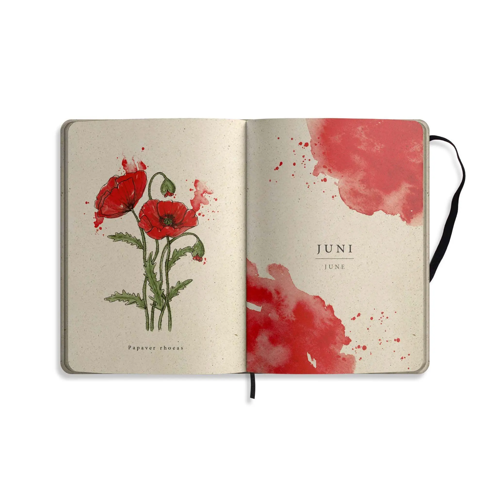 Bild: 4260626414315 | matabooks - A5 Kalender Samaya 2027 Farbe: Cornflower Blue (DE/EN)