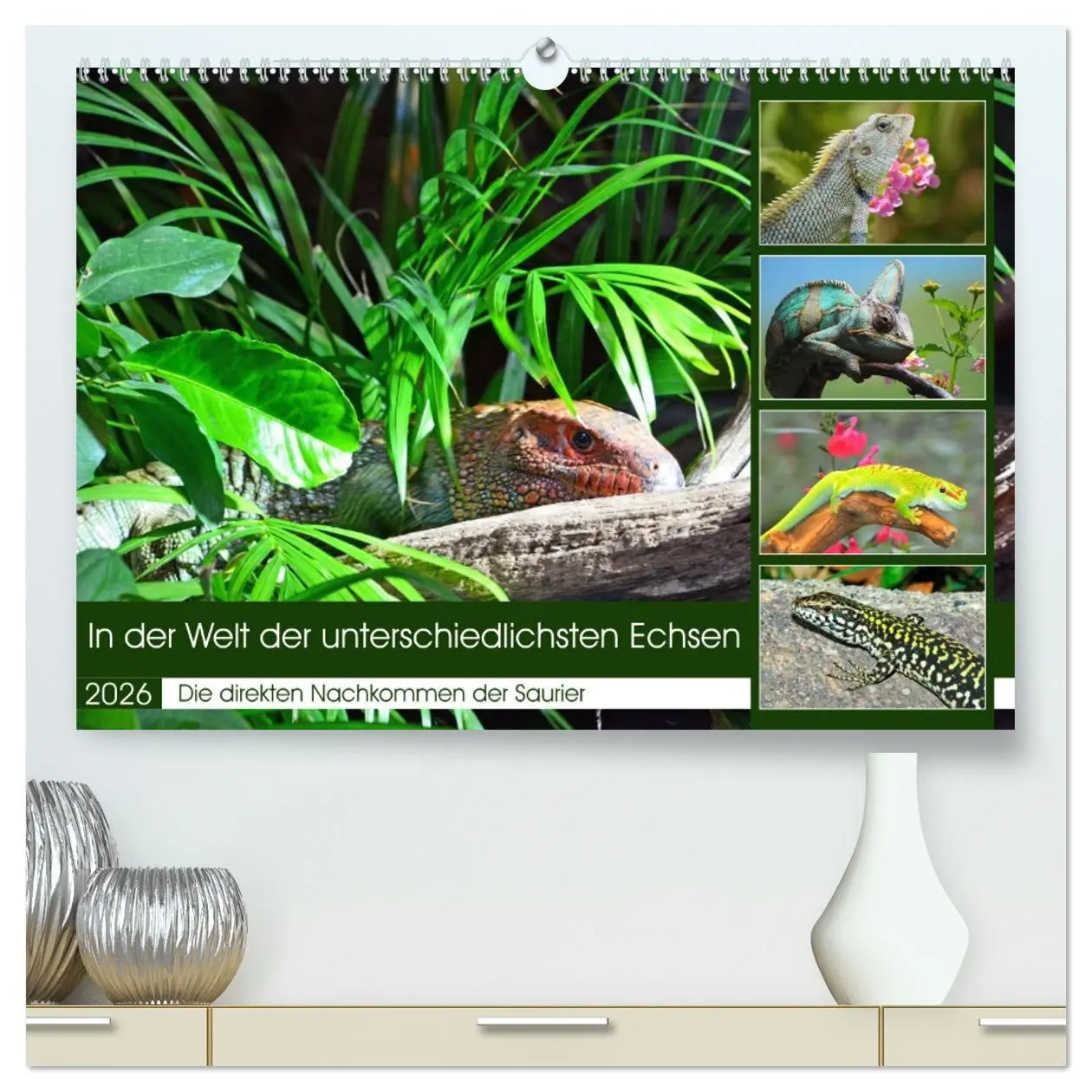 Cover: 9783457424315 | In der Welt der unterschiedlichsten Echsen (hochwertiger Premium...