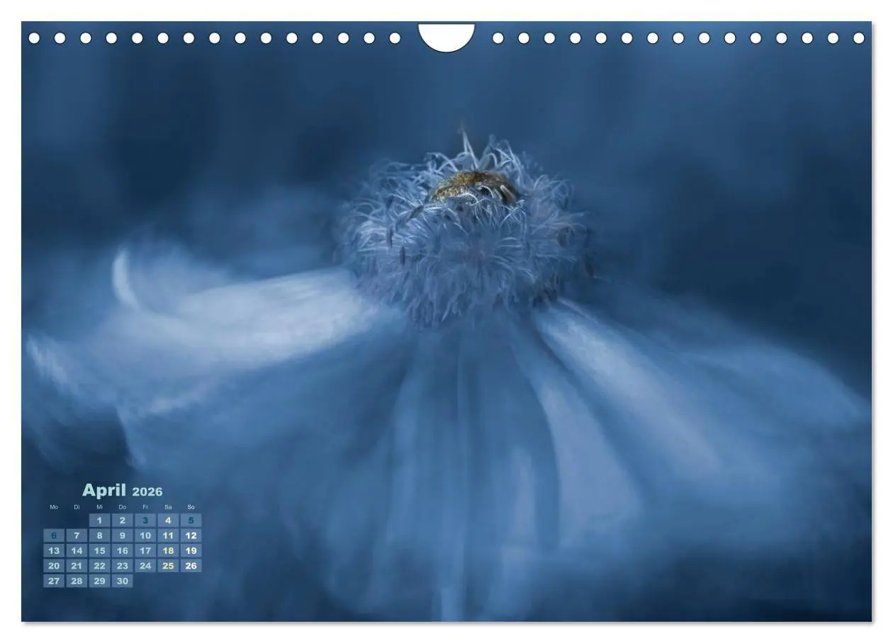 Bild: 9783516204315 | Zauberhafte Blüten (Wandkalender 2026 DIN A4 quer), CALVENDO...
