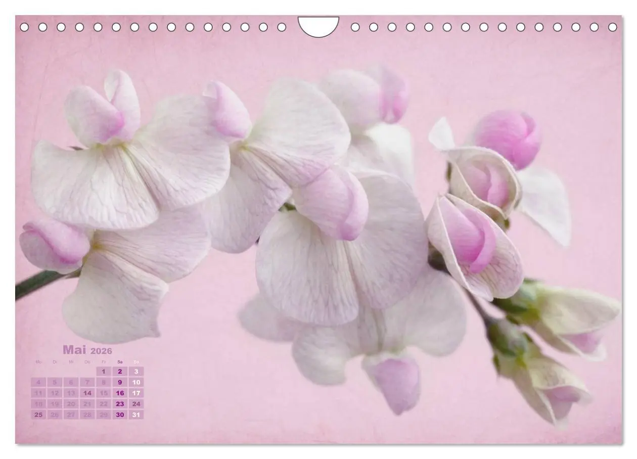 Bild: 9783516204315 | Zauberhafte Blüten (Wandkalender 2026 DIN A4 quer), CALVENDO...