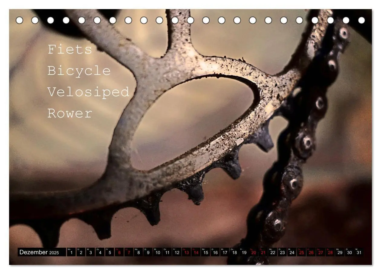 Bild: 9783383854415 | Weltfahrrad (Tischkalender 2025 DIN A5 quer), CALVENDO Monatskalender