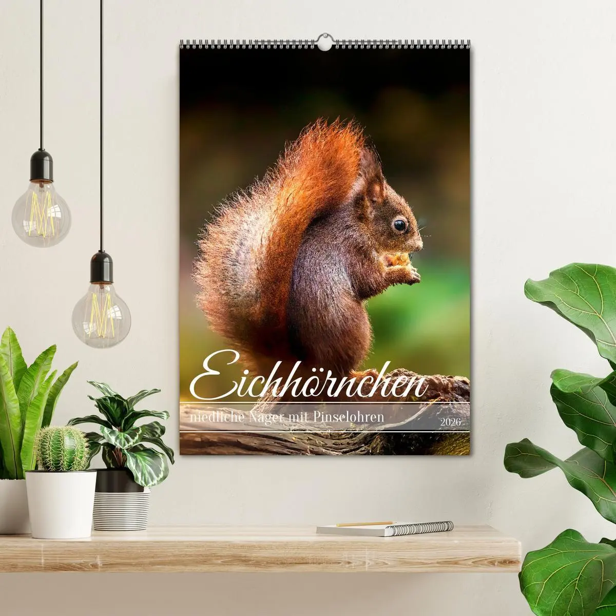 Bild: 9783457274415 | Niedlicher Nager - Das Eichhörnchen (Wandkalender 2026 DIN A2...