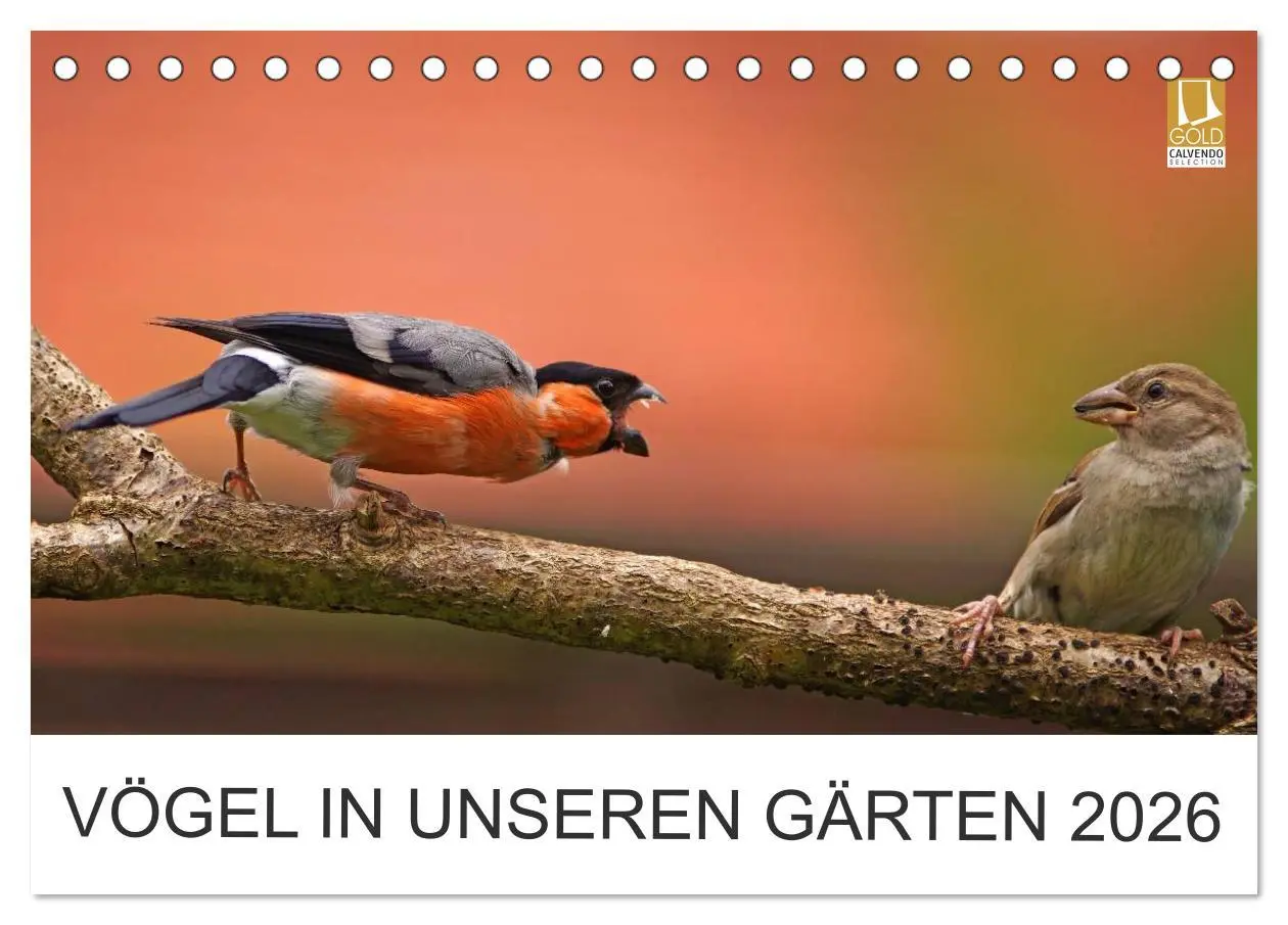 Cover: 9783516114515 | Vögel in unseren Gärten 2026 (Tischkalender 2026 DIN A5 quer),...