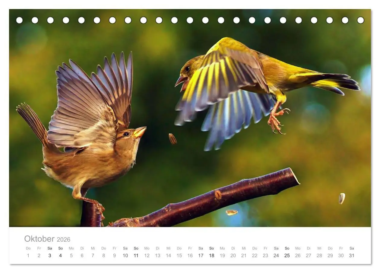 Bild: 9783516114515 | Vögel in unseren Gärten 2026 (Tischkalender 2026 DIN A5 quer),...