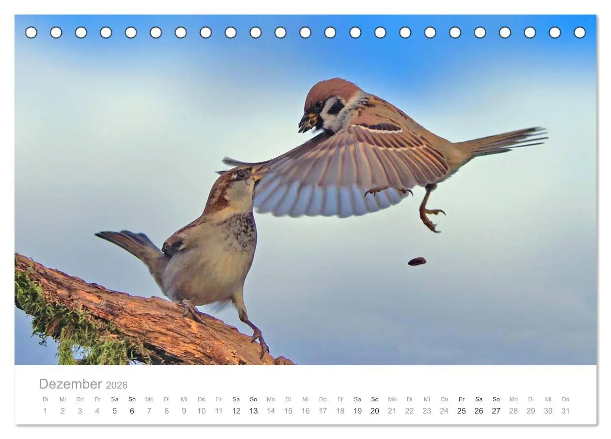 Bild: 9783516114515 | Vögel in unseren Gärten 2026 (Tischkalender 2026 DIN A5 quer),...