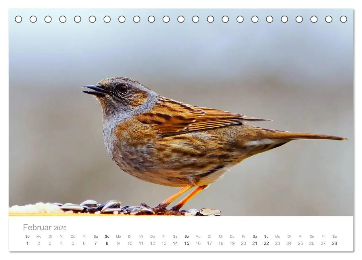 Bild: 9783516114515 | Vögel in unseren Gärten 2026 (Tischkalender 2026 DIN A5 quer),...