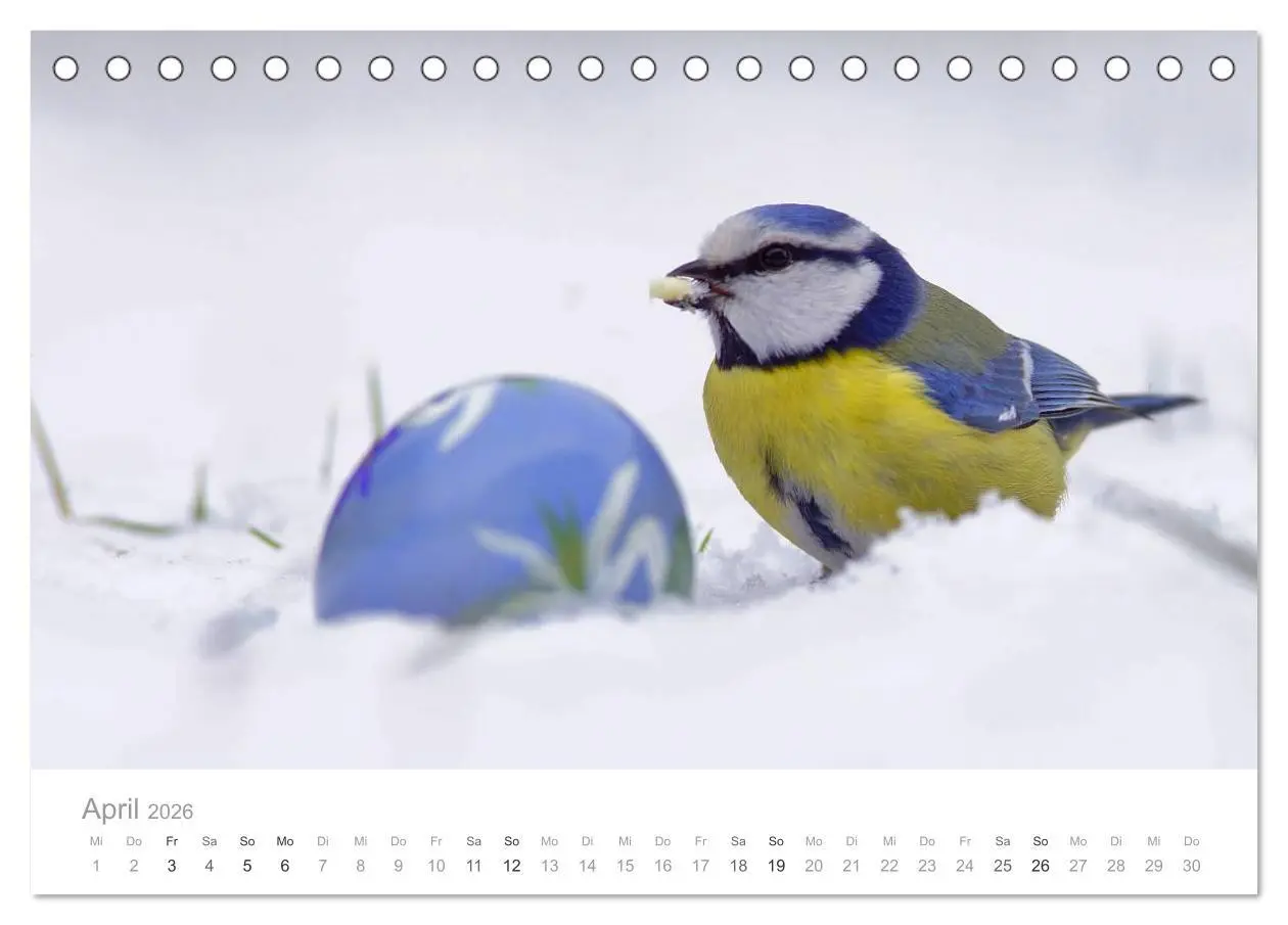 Bild: 9783516114515 | Vögel in unseren Gärten 2026 (Tischkalender 2026 DIN A5 quer),...