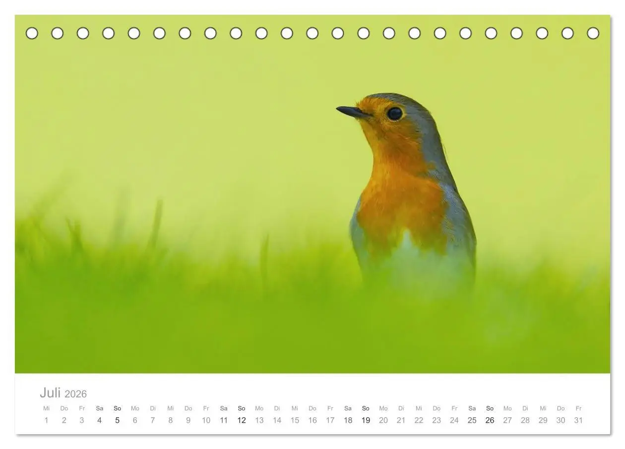 Bild: 9783516114515 | Vögel in unseren Gärten 2026 (Tischkalender 2026 DIN A5 quer),...
