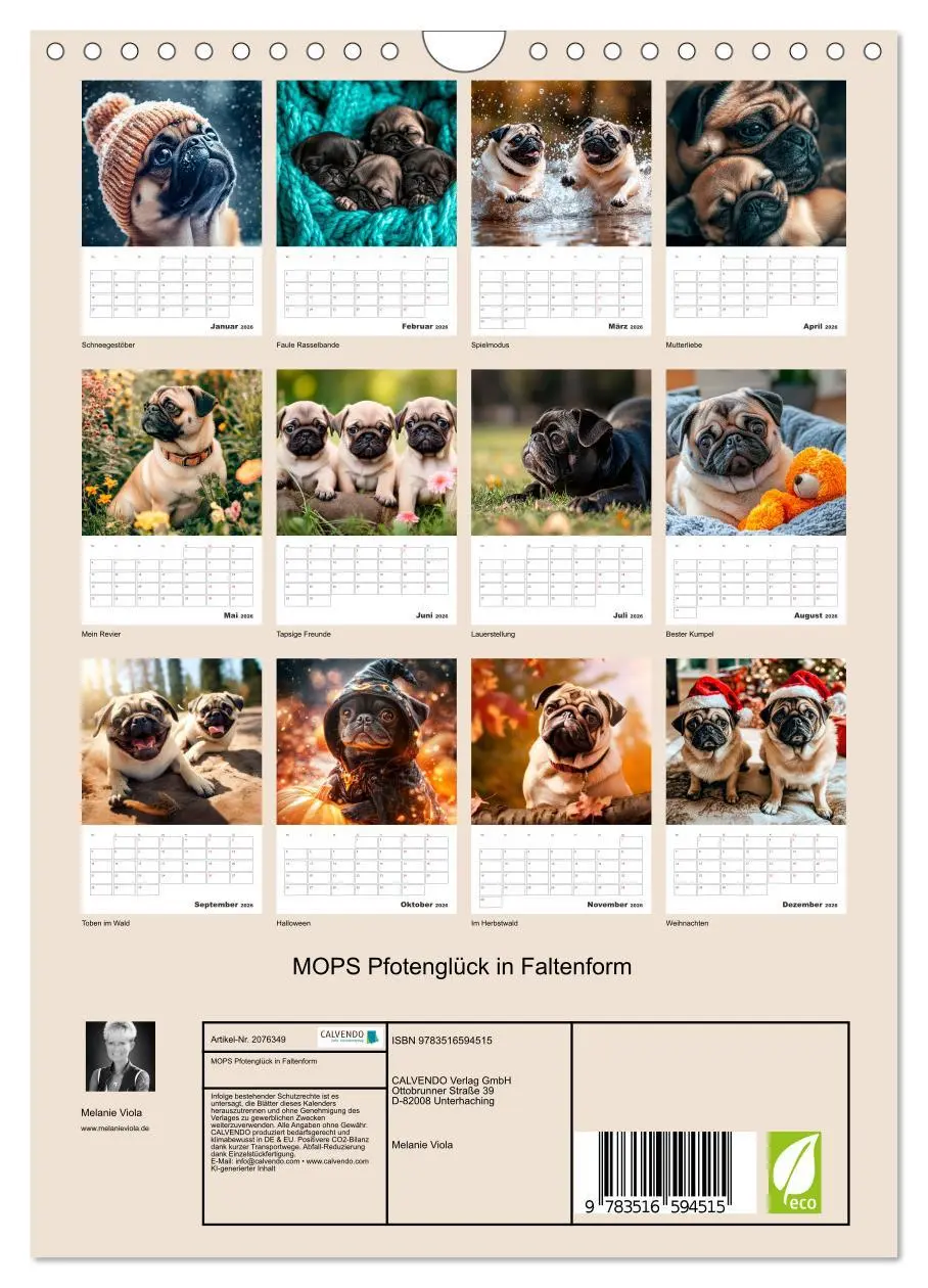Bild: 9783516594515 | MOPS Pfotenglück in Faltenform (Wandkalender 2026 DIN A4 hoch),...