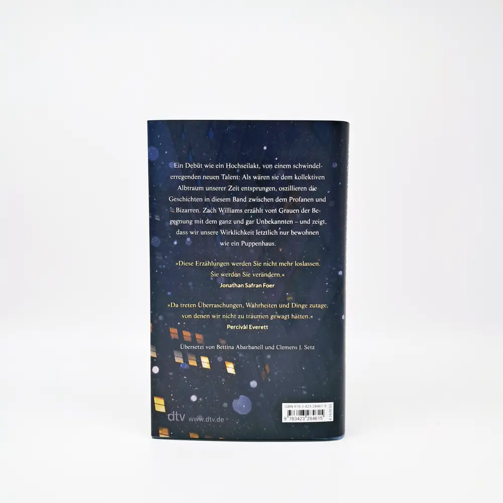 Bild: 9783423284615 | Es werden schöne Tage kommen | Zach Williams | Buch | 272 S. | Deutsch