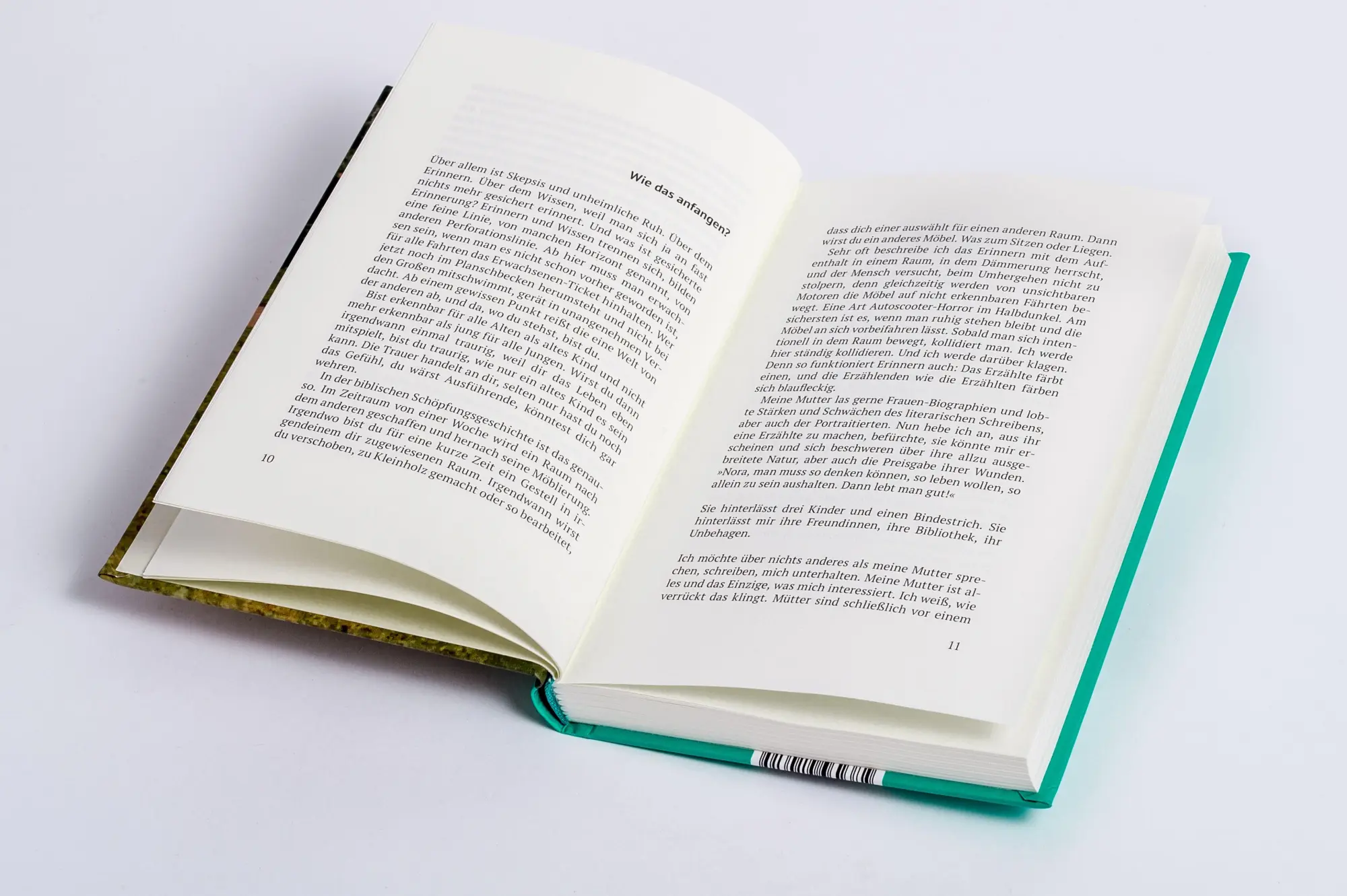Bild: 9783863914615 | Am Meerschwein übt das Kind den Tod | Ein Nachrough | Buch | 208 S.