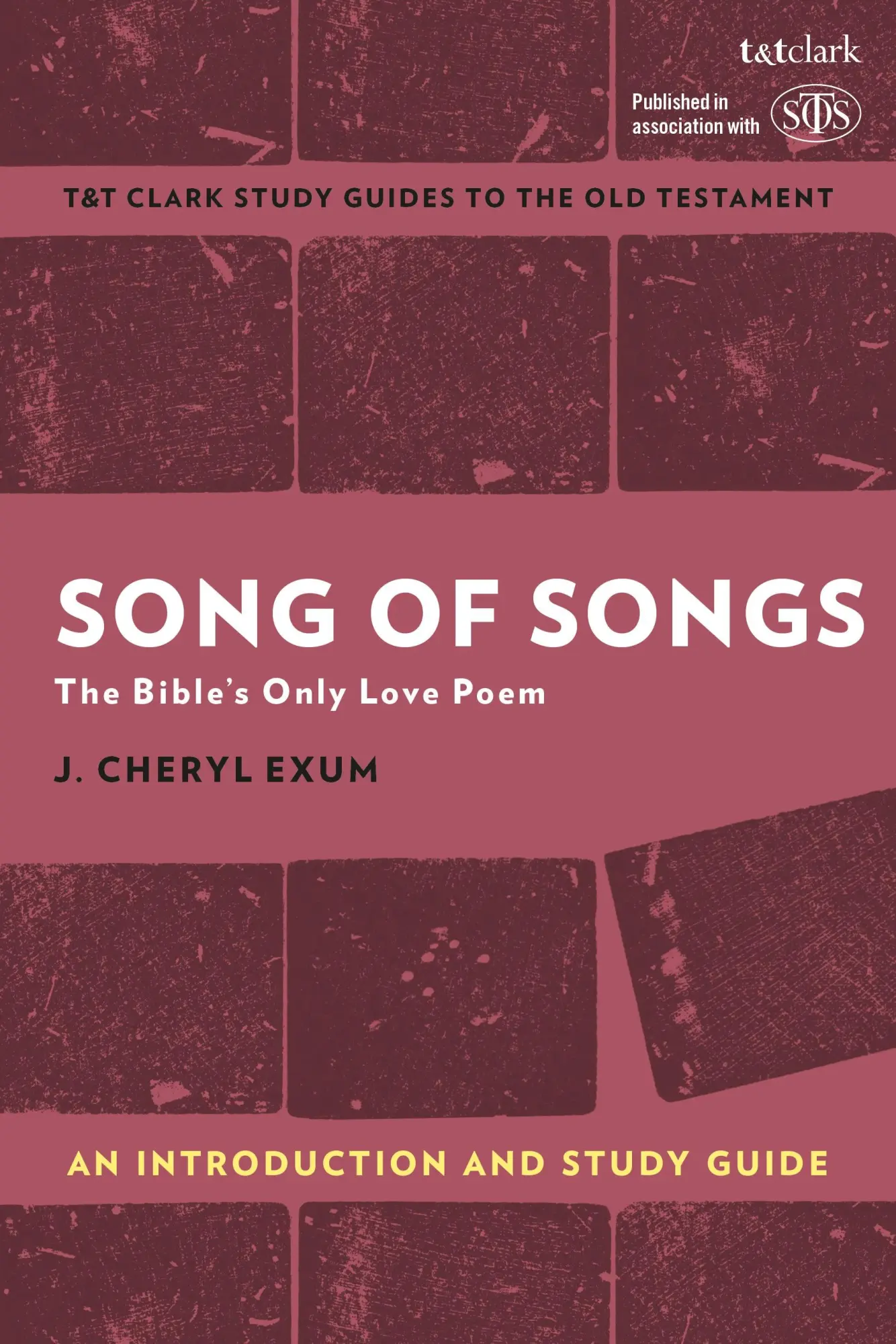 Cover: 9780567674715 | Song of Songs: An Introduction and Study Guide | J Cheryl Exum | Buch