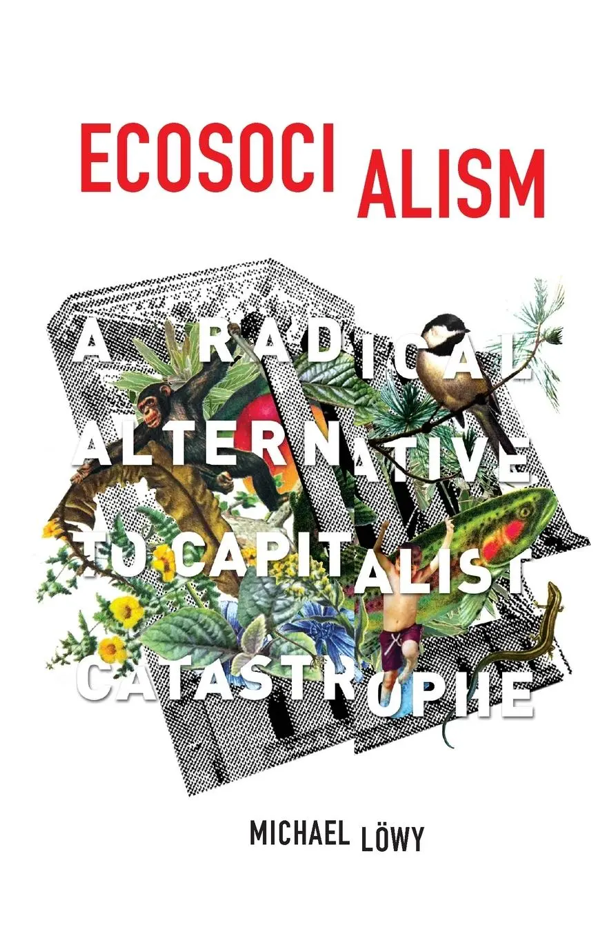 Cover: 9781608464715 | Ecosocialism | A Radical Alternative to Capitalist Catastrophe | Löwy