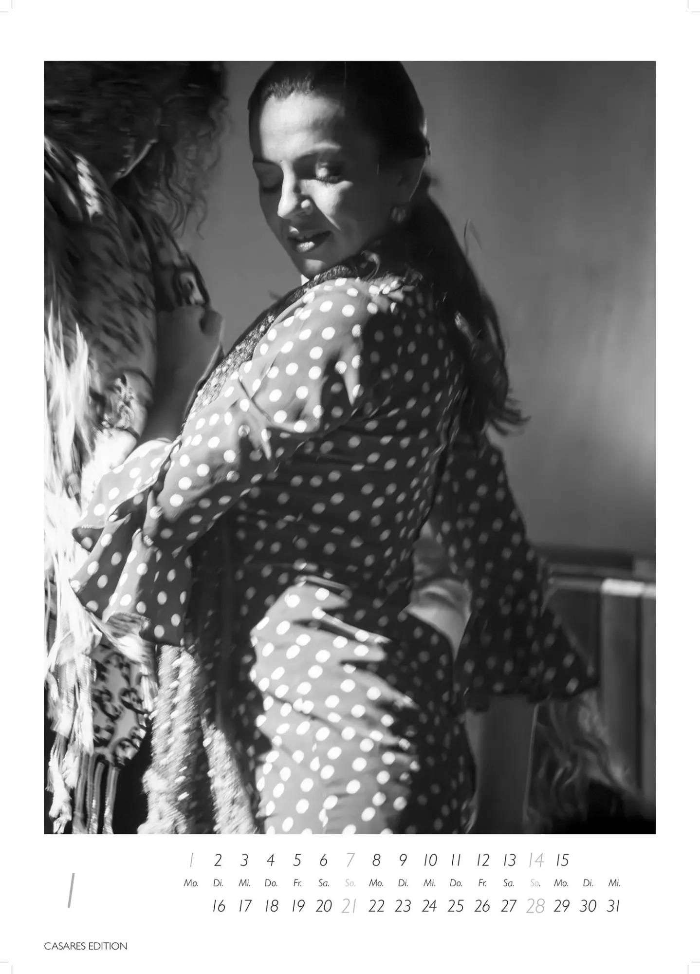 Bild: 9781835244715 | Flamenco schwarz-weiss 2026 | H. W. Schawe | Kalender | 14 S. | 2026
