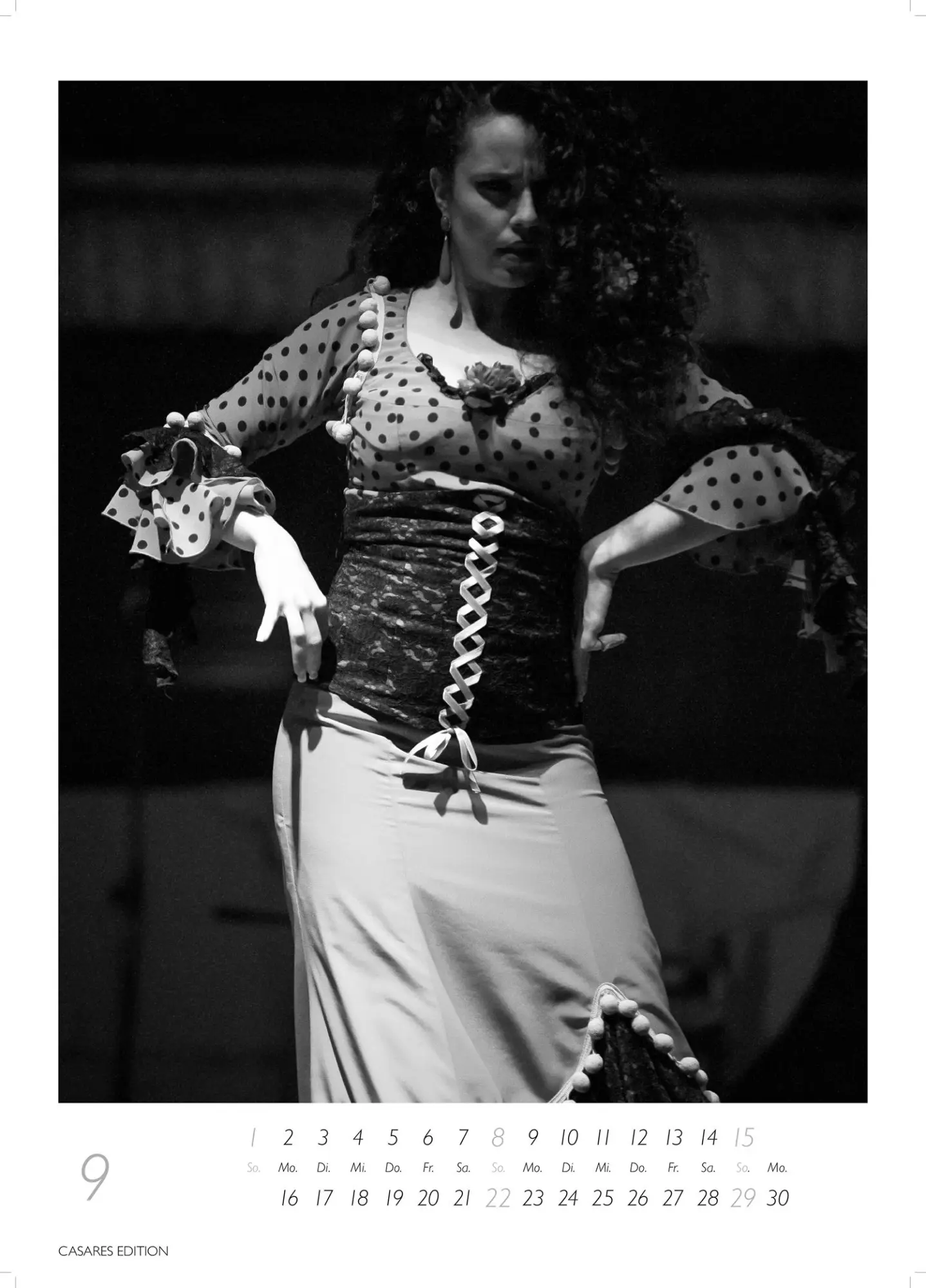 Bild: 9781835244715 | Flamenco schwarz-weiss 2026 | H. W. Schawe | Kalender | 14 S. | 2026