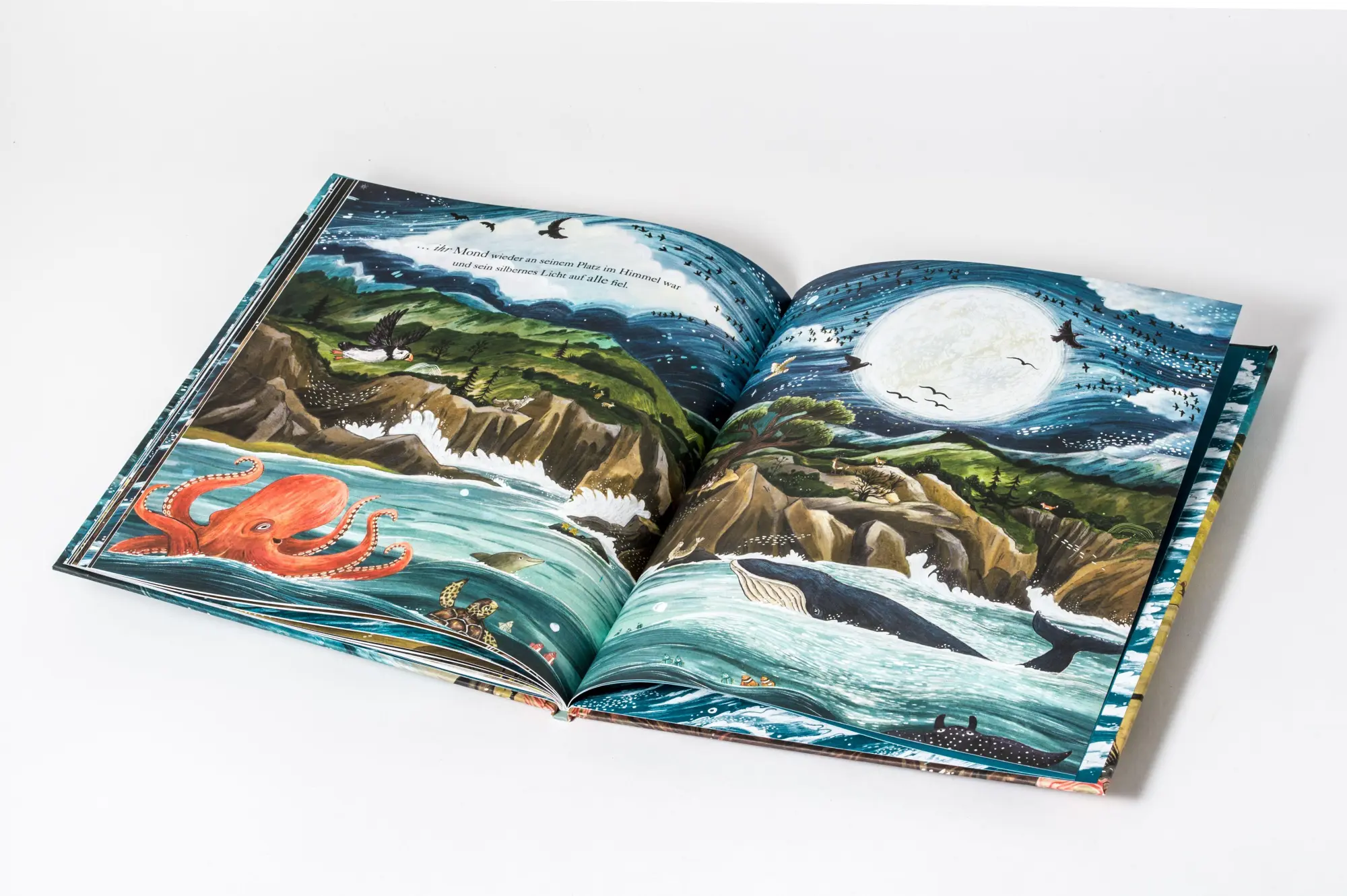 Bild: 9783328304715 | Der Mond im Meer | Sandra Dieckmann | Buch | 40 S. | Deutsch | 2026