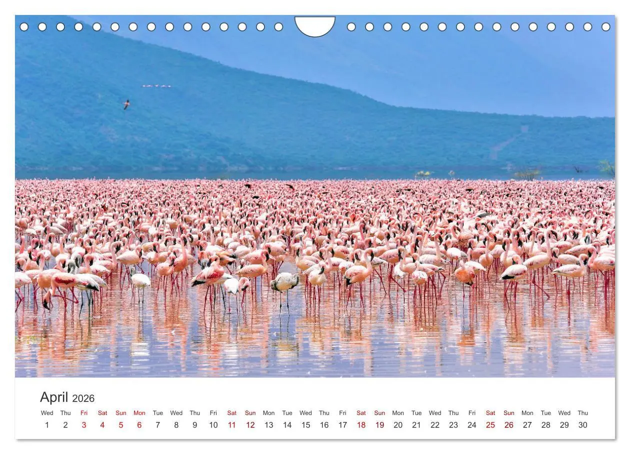 Bild: 9783516564815 | Kenya - a country like Africa (Wall Calendar 2026 DIN A4...